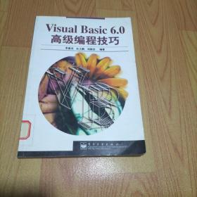 Visual Basic 6.0高級編程技巧【無光盤】