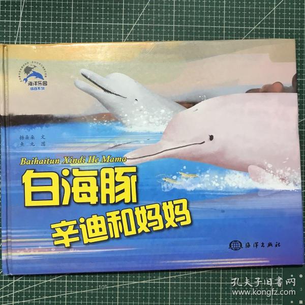 白海豚辛迪和妈妈