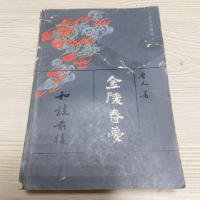 金陵春梦 第五集