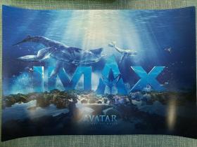 阿凡达水之道IMAX海报 阿凡达2海报 正版IMAX海报 A3尺寸 送海报筒