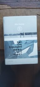 我的奋斗 5： 雨必将落下（硬精装大32开 2021年1月1版1印 有描述有清晰书影供参考）