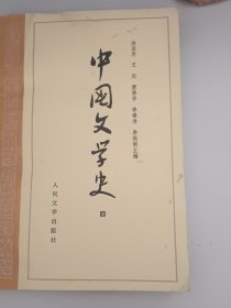 中国文学史（四）