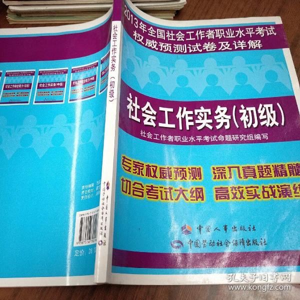 2013年全国社会工作者职业水平考试权威预测试卷及详解：社会工作实务（初级）