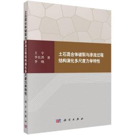 土石混合体破裂与渗流过程结构演化多尺度力学特 冶金、地质 王宇,李长洪,李晓 新华正版