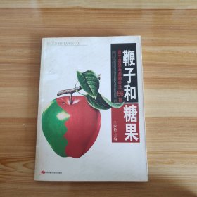 鞭子和糖果：员工奖惩与激励妙法66招