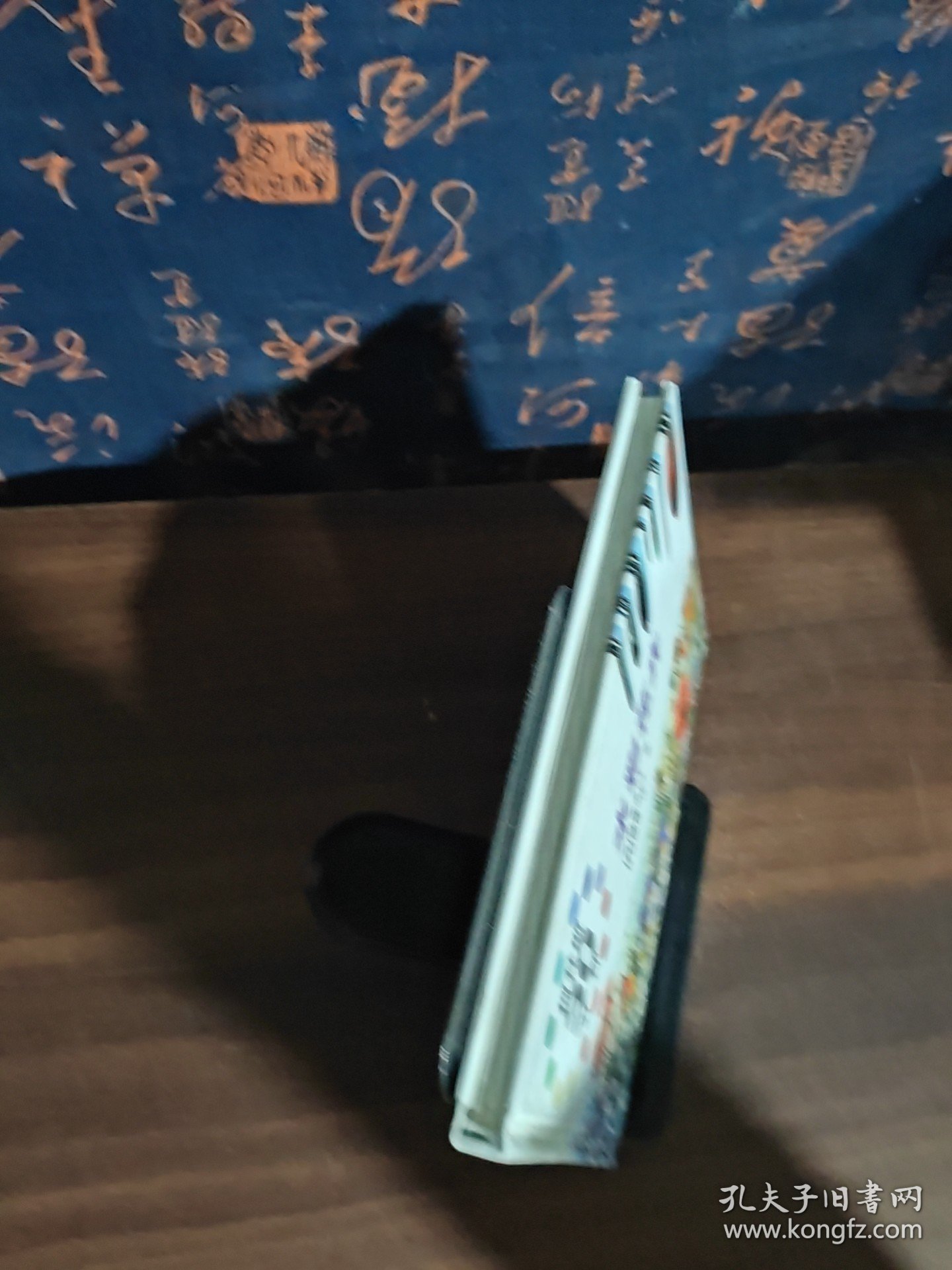 柯林斯30分钟水彩花卉