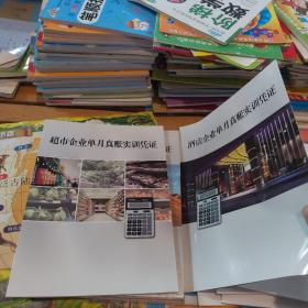 实训凭证系列 超市企业单月真帐实训凭证，国际货运，广告，民办学校，农业，旅游，物业，医疗器械，事业单位， 酒店企业 ，外贸 企业 ，软件企业，建筑企业，房地产企业共14本合售