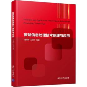 智能信息处理技术与应用 大中专理科计算机 蒋海峰,王宝华 新华正版