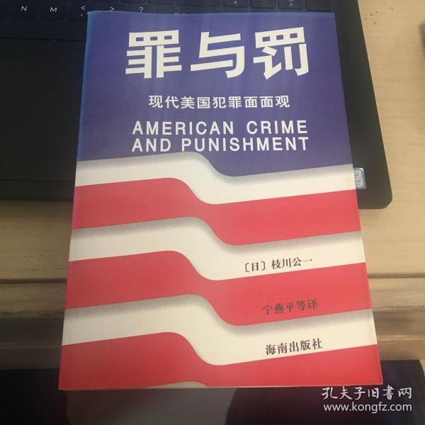 罪与罚:现代美国犯罪面面观