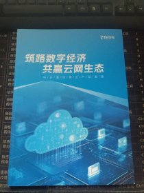 筑路数字经济共赢云网生态 中兴