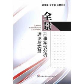 全景刑事案例分析理论与实务