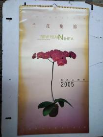 2005年挂历:兰花集锦7张全