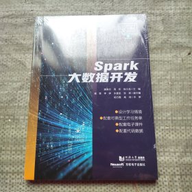 Spark大数据开发（职业教育计算机系列教材）