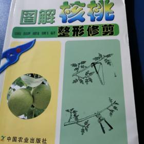 图解核桃整形修剪