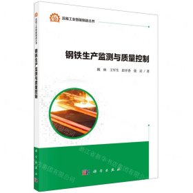 鋼鐵生產(chǎn)監(jiān)測(cè)與質(zhì)量控制/流程工業(yè)智能制造叢書