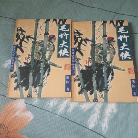 熊沐武侠精品系列.13.毛竹大侠