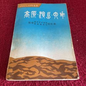 高原·演出·六年——延安青年艺术剧院联政宣传队回忆录··