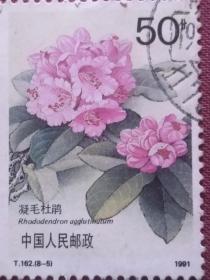 T字162（8-5杜鹃）邮票