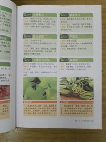 很老很灵的老偏方:老祖宗传下来的灵丹妙药—超值全彩白金版