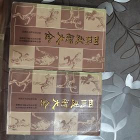 四川武术大全（上下册）