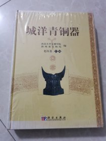 城洋青铜器。未拆封全新品相。