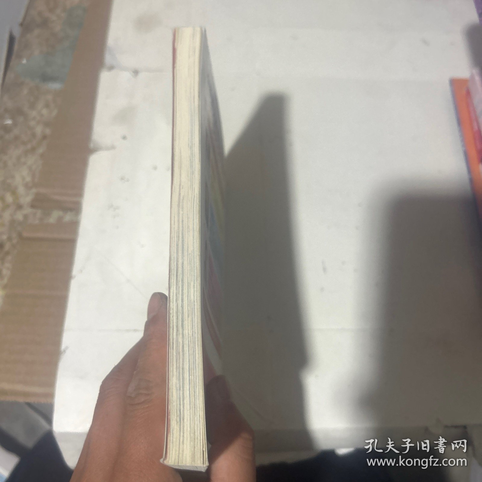 （小学语文新课标必读丛书：注音彩绘本）百家姓