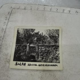 庐山大天池/龙鱼潭照：在庐山大天池，龙鱼就生长在这龙鱼潭内（应该以拆除或者毁掉了）