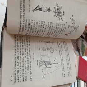 花卉及观赏树木栽培手册