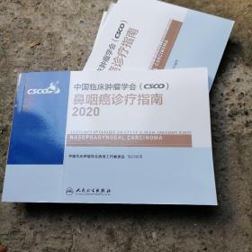 中国临床肿瘤学会（CSCO）鼻咽癌诊疗指南2020