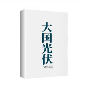 大国光伏：中国王牌制造业的突围与崛起（上、下）