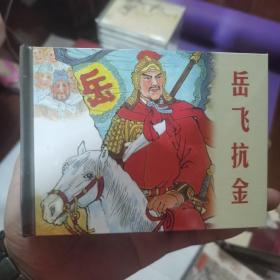 岳飞抗金