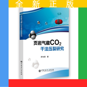頁巖氣藏CO2干法壓裂研究