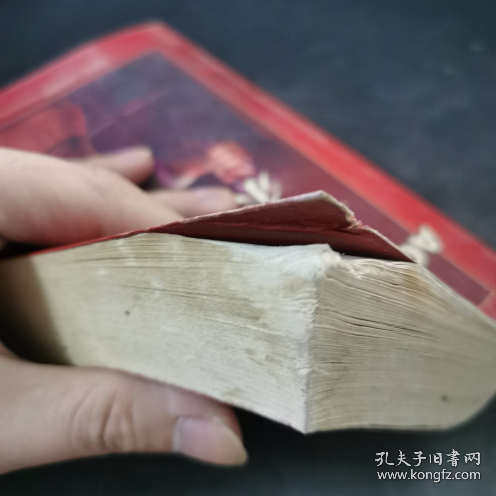 神秘的别墅·公寓女郎