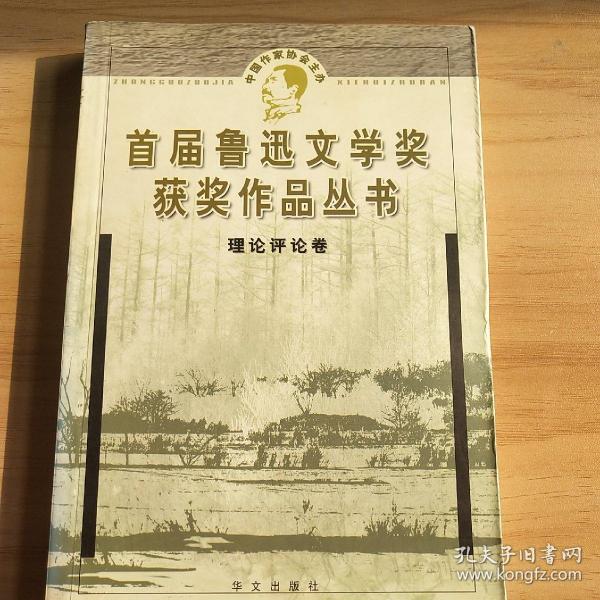 鲁迅文学奖获奖作品丛书：理论评论