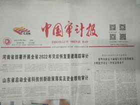 中国审计报2022年4月6日