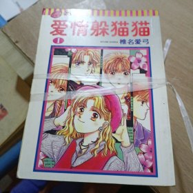 爱情躲猫猫1-5