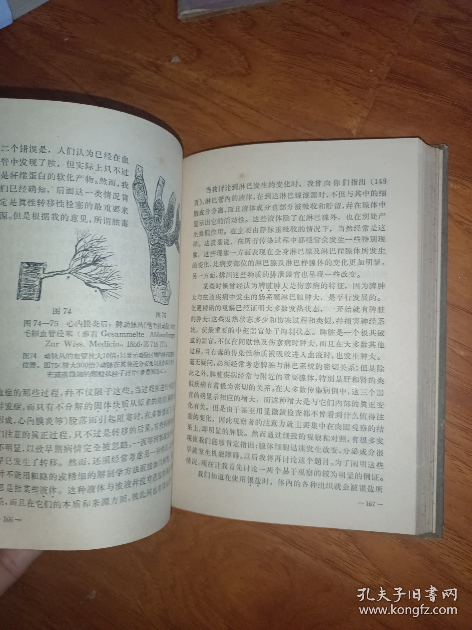 细胞病理学【一版一印精装本】