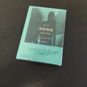 马丁·艾米斯作品：伦敦场地