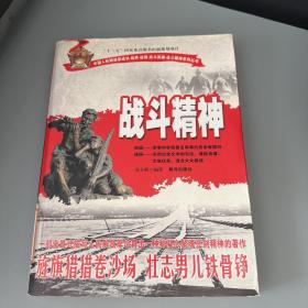 中国人民解放军战功战将战例战斗英雄战斗精神系列丛书：战斗精神