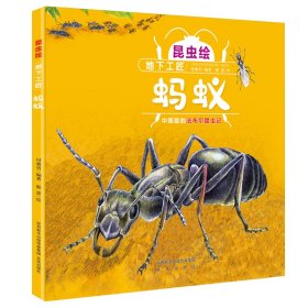 正版书绘本未来童书科普馆：昆虫绘.地下工匠·蚂蚁