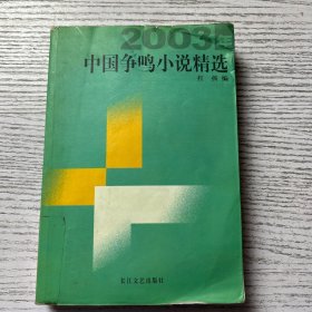 2003年中国争鸣小说精选
