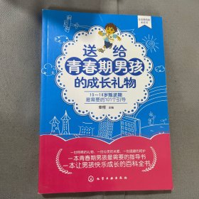 送给青春期男孩的成长礼物：10～18岁叛逆期最需要的101个引导