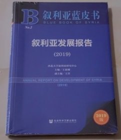 叙利亚蓝皮书：叙利亚发展报告（2019）