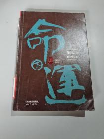 陆天明当代作品精选：命运（套装全2册）