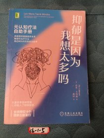 抑郁是因为我想太多吗：元认知疗法自助手册