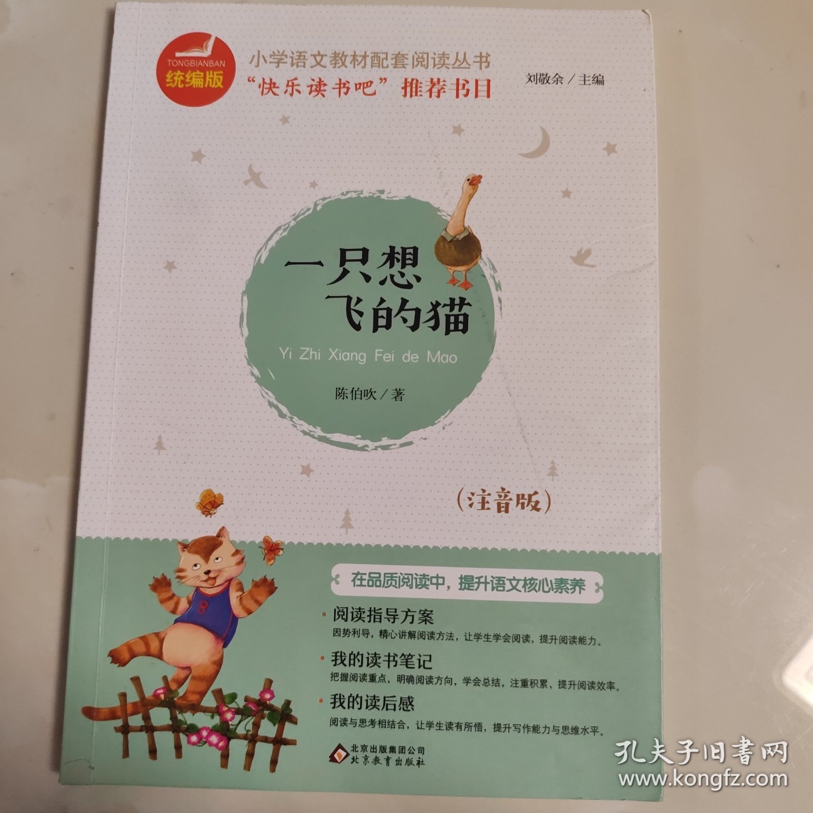 一只想飞的猫彩插注音版快乐读书吧二年级上册