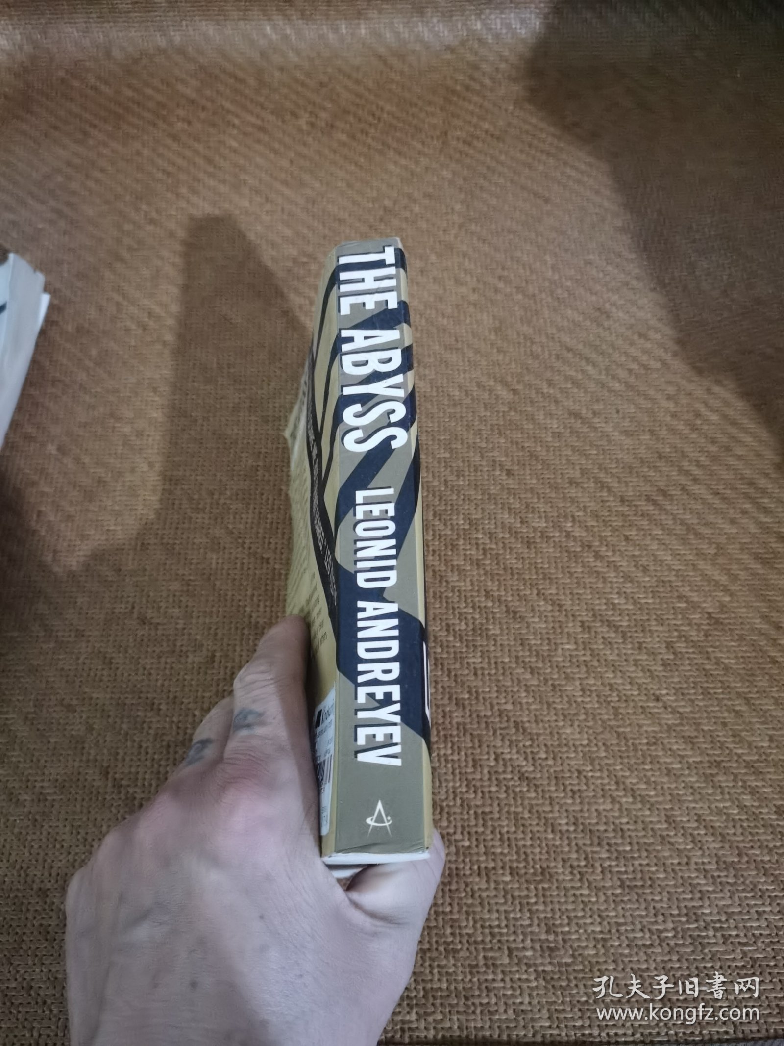 The Abyss and Other Stories 深渊 安德列耶夫