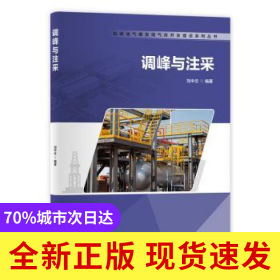 調峰與注采/枯竭油氣藏型儲氣庫開發(fā)建設系列叢書