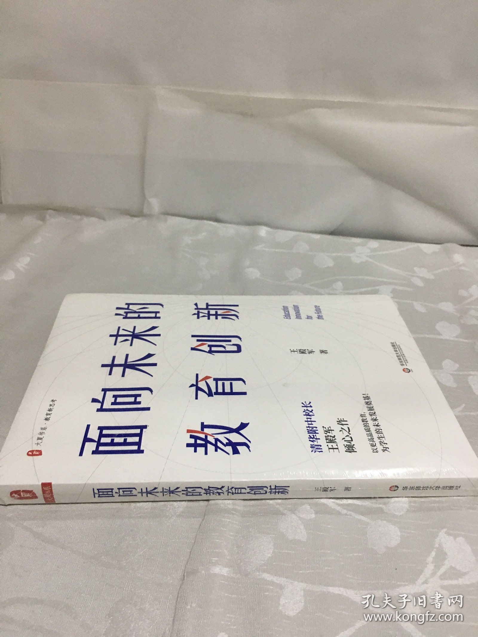 大夏书系·面向未来的教育创新（清华附中校长王殿军倾心之作，教育新思考）（全新未拆封）