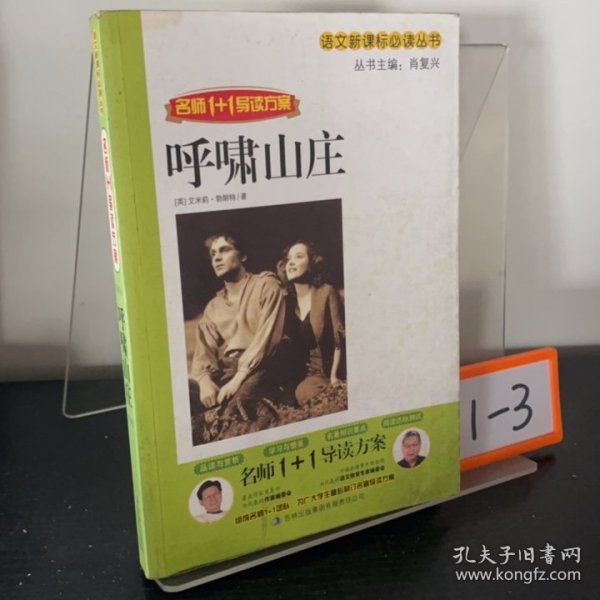 名师1+1导读《呼啸山庄》吉林出版集团有限责任公司9787546320540